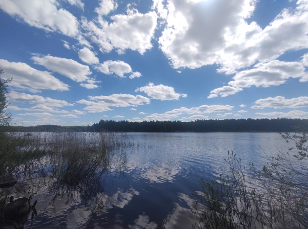 Купить земельный участок на улице Загородная в Ярославской области. Вариант № 1201656, 3, площадь -  квм, цена 1800000 рублей