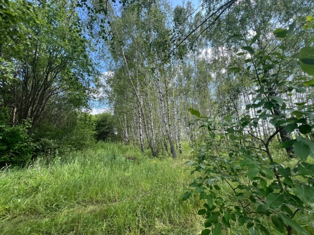 Купить земельный участок в Коломне. Вариант № 822083, 3, площадь -  квм, цена 280000 рублей