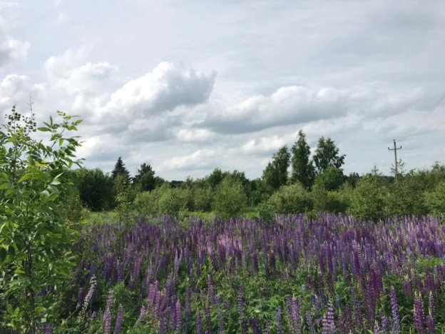 Купить земельный участок на улице Береговая в Владимире. Вариант № 2132097, 5, площадь -  квм, цена 13000000 рублей