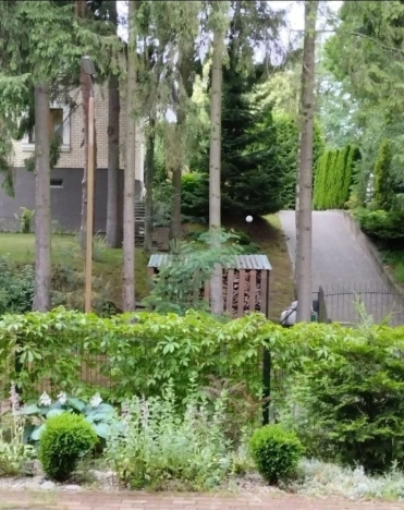 Купить однокомнатную квартиру в Светлогорске. Вариант № 41295, 10, площадь -  квм, цена 10045000 рублей