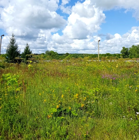 Купить земельный участок в Обнинске. Вариант № 14976, 2, площадь -  квм, цена 4500000 рублей