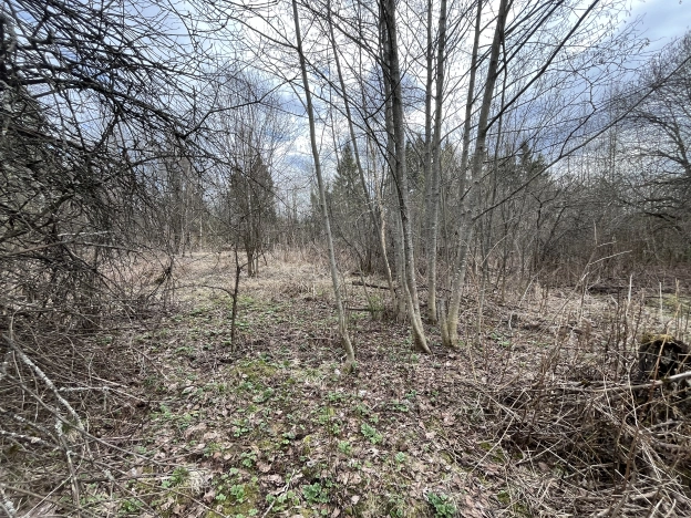 Купить земельный участок в Химках. Вариант № 20462, 11, площадь -  квм, цена 5500000 рублей