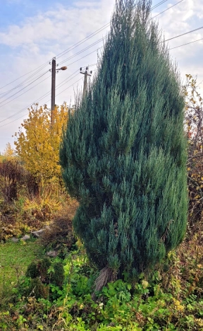 Купить дачу в Москве. Вариант № 8051713, 8, площадь -  квм, цена 5450000 рублей