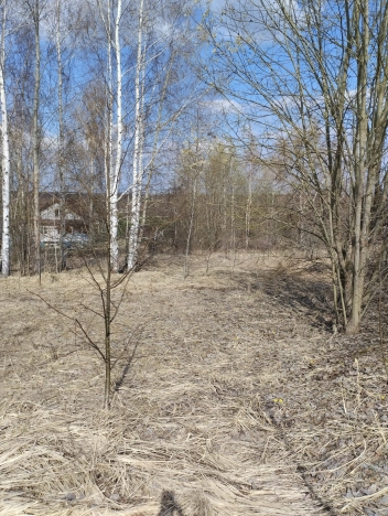 Купить земельный участок в Вязниках. Вариант № 37297, 5, площадь -  квм, цена 830000 рублей