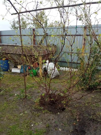 Купить дом на улице Карла Маркса в Тюменской области. Вариант № 1175, 10, площадь -  квм, цена 7000000 рублей