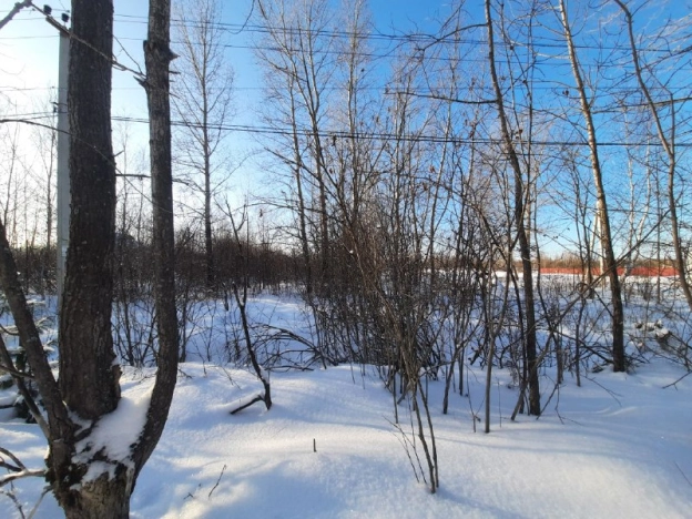 Купить земельный участок в Тобольске. Вариант № 22837, 4, площадь -  квм, цена 500000 рублей