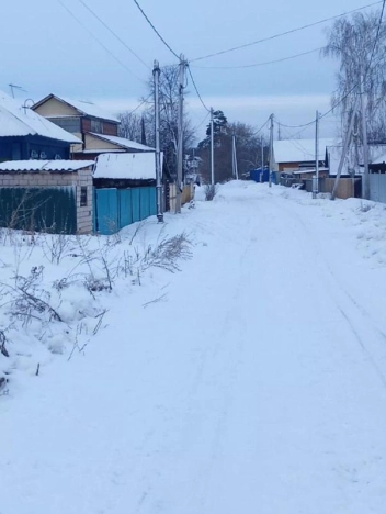 Купить земельный участок в Алтайском крае. Вариант № 10348171, 1, площадь -  квм, цена 600000 рублей