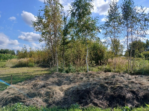 Купить земельный участок в Иванове. Вариант № 4174433, 3, площадь -  квм, цена 380000 рублей