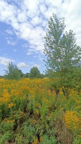 Купить земельный участок у метро Двигатель Революции в Нижнем Новгороде. Вариант № 1631378, 6, площадь - квм, цена 2050000 рублей