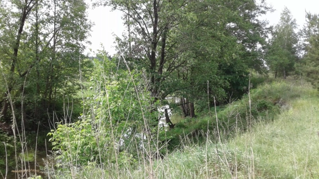 Купить земельный участок в Пензе. Вариант № 1447, 2, площадь -  квм, цена 1000000 рублей