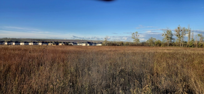 Купить земельный участок в Новороссийске. Вариант № 8115176, 5, площадь -  квм, цена 1850000 рублей