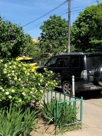 Купить двухкомнатную квартиру на улице Ольховая в Видном. Вариант № 14466, 26, площадь -  квм, цена 12500000 рублей