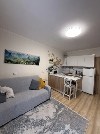 . Вариант № 60813, 6, площадь - 23.4 квм, цена 4350000 рублей