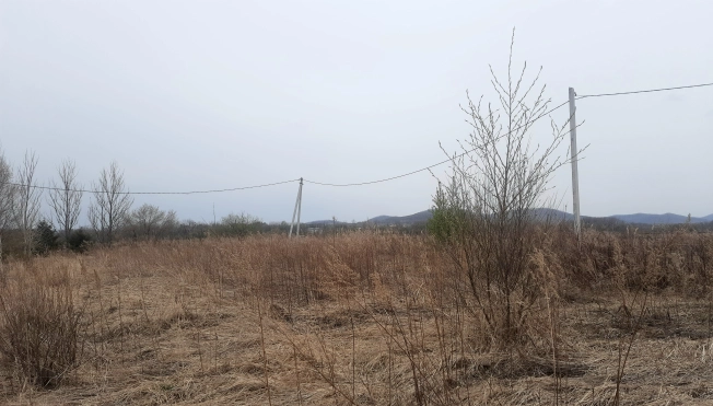 Купить земельный участок в Арсеньеве. Вариант № 1878, 3, площадь -  квм, цена 100000 рублей