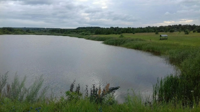 Купить земельный участок на улице 1 Мая в Нижегородской области. Вариант № 25537, 1, площадь -  квм, цена 38000000 рублей