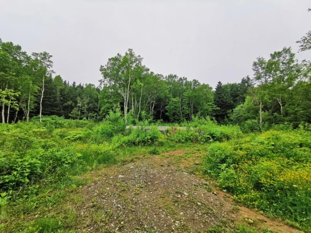 Купить земельный участок в Южно-Сахалинске. Вариант № 23111, 1, площадь -  квм, цена 1150000 рублей
