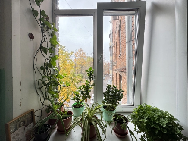 Купить комнату в Москве. Вариант № 3784804, 17, площадь - квм, цена 8500000 рублей