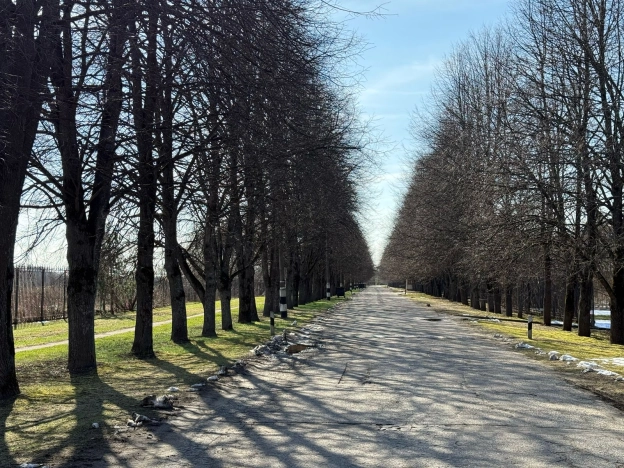 Купить таунхаус в Москве. Вариант № 38745, 13, площадь -  квм, цена 63000000 рублей