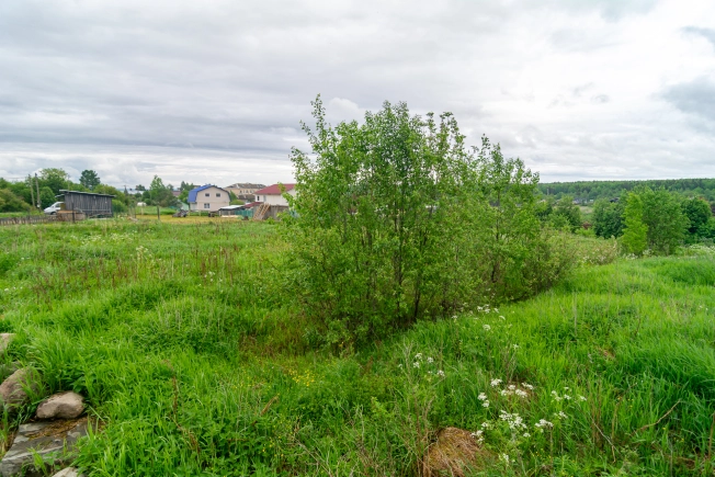 Купить земельный участок в Петрозаводске. Вариант № 21349, 6, площадь -  квм, цена 2399000 рублей