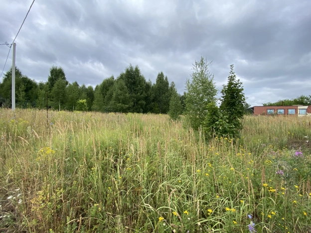 Купить земельный участок в Пензе. Вариант № 10617, 6, площадь -  квм, цена 700000 рублей