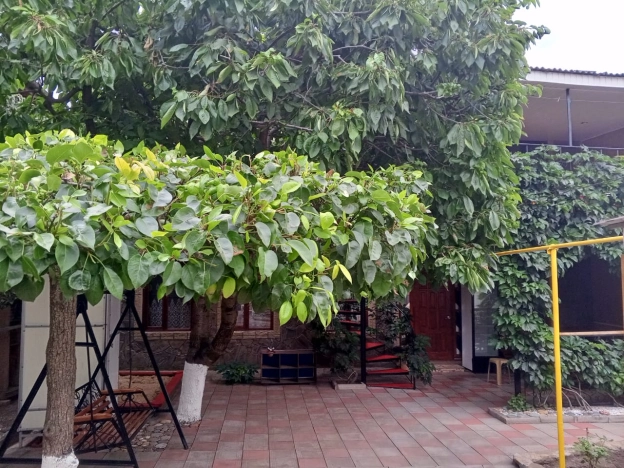 Купить дом на улице Шоссейный переулок в Краснодарском крае. Вариант № 58405, 6, площадь -  квм, цена 14490000 рублей