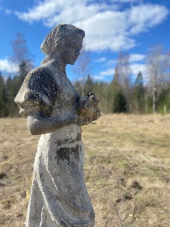 Купить земельный участок в Вологодской области. Вариант № 42877, 24, площадь -  квм, цена 7000000 рублей