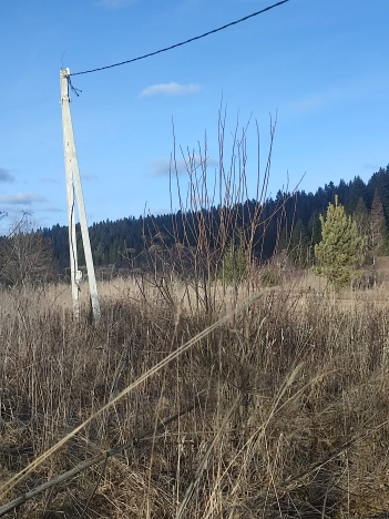 Купить земельный участок в Пермском крае. Вариант № 9939020, 2, площадь -  квм, цена 550000 рублей