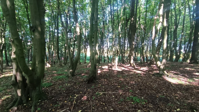 Купить земельный участок на улице Заозёрный проезд в Калининграде. Вариант № 6141881, 10, площадь -  квм, цена 1900000 рублей