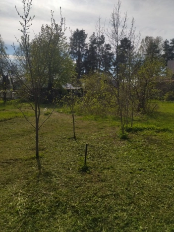 Купить земельный участок у метро Шушары в Санкт-Петербурге. Вариант № 32532, 6, площадь -  квм, цена 6300000 рублей