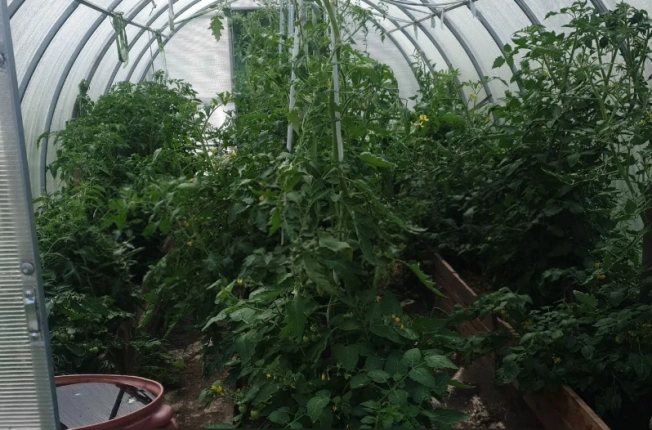 Купить дом в районе Калининский в Новосибирске. Вариант № 57828, 6, площадь -  квм, цена 2100000 рублей