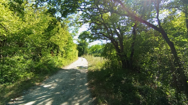 Купить дом на улице Октябрьский переулок в Новороссийске. Вариант № 11476, 20, площадь -  квм, цена 5198000 рублей