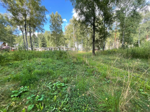 Купить земельный участок в Искитиме. Вариант № 2589292, 1, площадь -  квм, цена 95000000 рублей