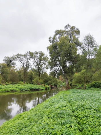 Купить дом в Москве. Вариант № 932573, 45, площадь - квм, цена 28000000 рублей