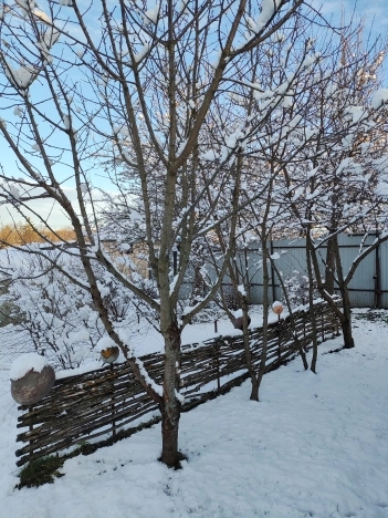 Купить дом на улице Пушкина в Владимире. Вариант № 6913396, 15, площадь -  квм, цена 3150000 рублей