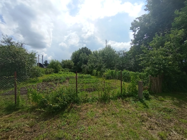 Купить квартиру в Калининградской области. Вариант № 8383293, 15, площадь - квм, цена 780000 рублей