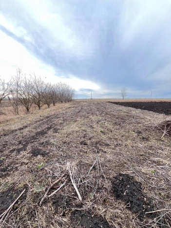 Купить дом на улице Советский переулок в Воронежской области. Вариант № 30018, 33, площадь -  квм, цена 900000 рублей