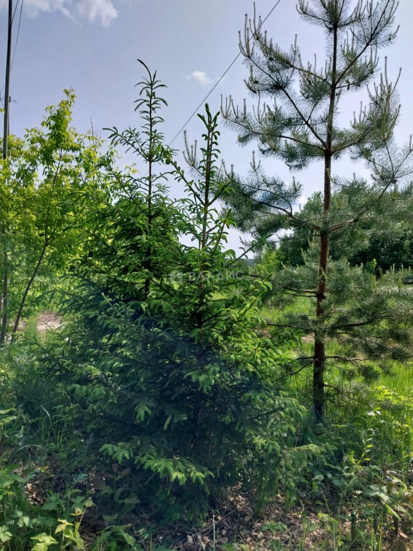 Photo https://36000382-a1c2-4a8a-a109-3fc3bfc73cf7.selcdn.net/App/Entity/ObjectRealty/ObjectRealty/BH/0033659d-27fe-4683-9694-b232f5dbebb8/sDJ3UcJQeoVk7bq7kyVO4ac3w6eGFaTwnnK4JPl2.jpg.compressed.webp