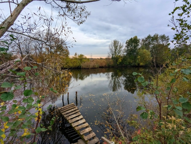 Купить земельный участок на улице Озерная в Калининградской области. Вариант № 36217, 1, площадь -  квм, цена 500000 рублей
