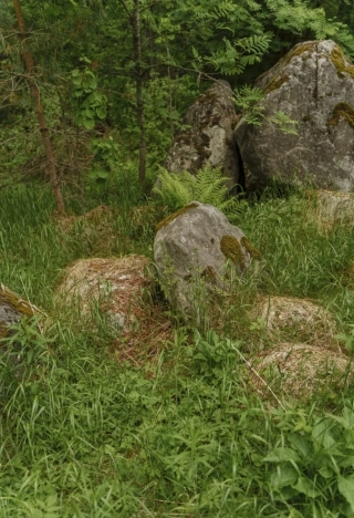 Купить земельный участок в Санкт-Петербурге. Вариант № 9515258, 8, площадь - квм, цена 2572892 рублей