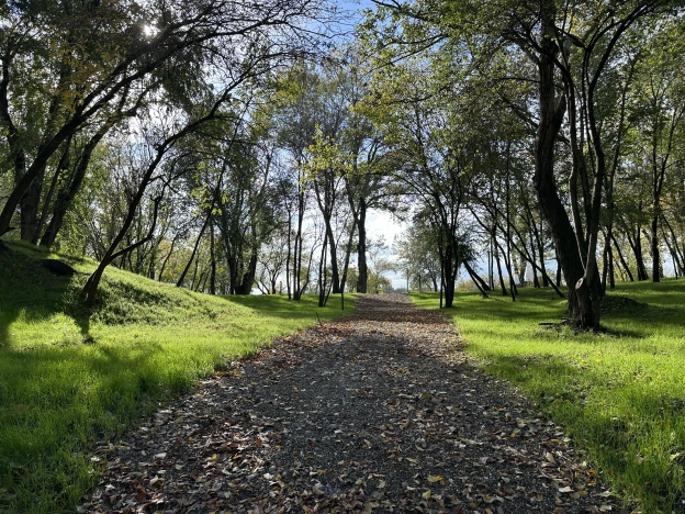 Купить квартиру на улице Обрывная в Краснодаре. Вариант № 7544309, 38, площадь -  квм, цена 7350000 рублей