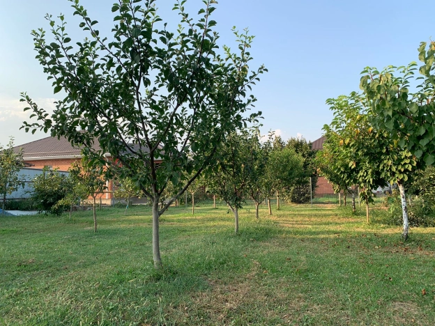 Купить дом на улице Степная в Краснодаре. Вариант № 6717854, 5, площадь -  квм, цена 9950000 рублей