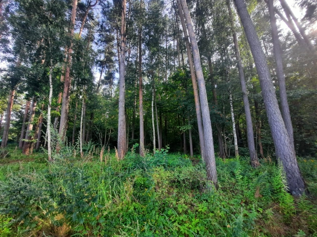 . Вариант № 11709, 1, площадь -  квм, цена 436000 рублей