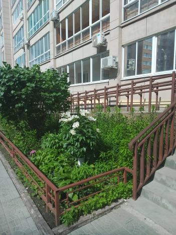 Купить квартиру в ЖК "Амур Сити" в Благовещенске. Вариант № 53505, 0, площадь - квм, цена 5050000.0000 рублей