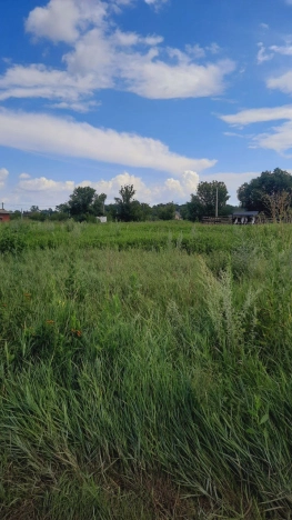 Купить земельный участок в Воронеже. Вариант № 457479, 5, площадь -  квм, цена 630000 рублей