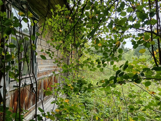 Купить дом в Гороховеце. Вариант № 13383, 31, площадь -  квм, цена 460000 рублей