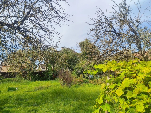 Купить земельный участок в Калининграде. Вариант № 6922166, 3, площадь -  квм, цена 1150000 рублей