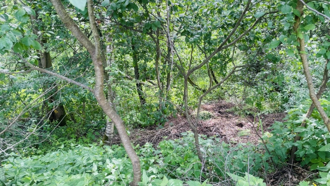 Купить земельный участок в Королёве. Вариант № 28218, 2, площадь -  квм, цена 4000000 рублей