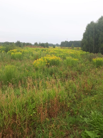 Купить земельный участок в Дзержинске. Вариант № 6945, 2, площадь -  квм, цена 13000000 рублей