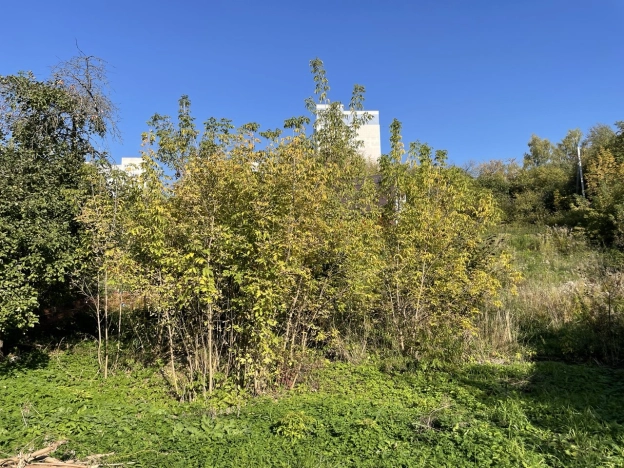 Купить земельный участок у метро Двигатель Революции в Нижнем Новгороде. Вариант № 5310623, 0, площадь - квм, цена 3700000 рублей