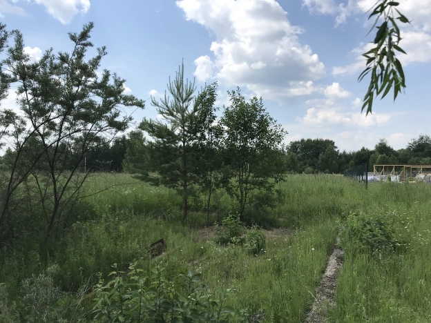 Купить земельный участок в Москве. Вариант № 6269, 4, площадь -  квм, цена 800000 рублей